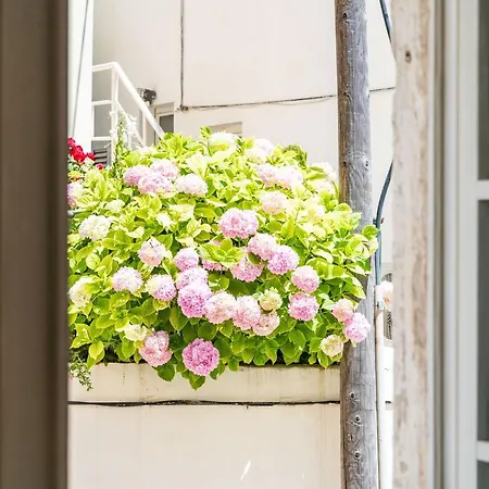 Old Town Historical Apartman