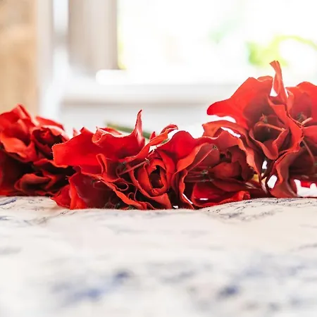 Old Town Historical Apartamento