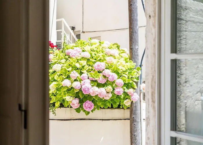 Old Town Historical Apartment